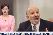 韓国人「米国：韓国への半導体補助金を再検討へ、電気自動車補助金も廃止」現代自動車に大きな痛手に　韓国の反応