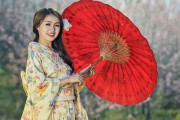 韓国では国際カップルはたくさんいるの？「両親は離婚してる」「結婚式がどれだけ高いことか」海外の反応