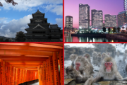 「日本全体を愛してる」来日した外国人が一番好きなスポット