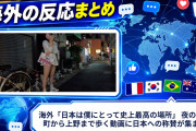 海外「日本は僕にとって史上最高の場所」 夜の御徒町から上野まで歩く動画に日本への称賛が集まる