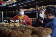 【悲報】韓国人「韓国人も衝撃！」韓国人が食べている『白エノキダケ』の真実がマジでヤバ過ぎた‥→「日帝残滓なのですか？」　韓国の反応