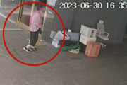 韓国人の反応「韓国の防犯カメラに映っていた衝撃の光景」→老。がい