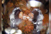 海外「うまくいくことを祈ろう！」 福島原発調査ロボットによるデブリ持ち上げ成功に外国人からコメントが寄せられる 海外の反応