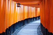 海外「素敵な写真ですね！日本でお気に入りの場所のひとつです！」京都『伏見稲荷大社』の千本鳥居が壮観です（海外の反応）