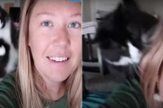 飼い主さんが歌いだすと必ず顔に跳びついてくる猫が面白い！