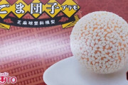 韓国人「日本で本当に発売された『ゴマ団子』のプラモデルがマジでヤバイ‥」→「日本人はひとつづつ磨くの？」　韓国の反応