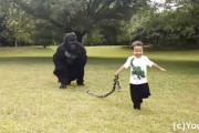 小さな男の子がゴリラを散歩？その様子がシュールすぎて話題に（中国）