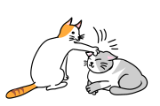 日本の「猫がさわると喜ぶ場所、喜ばない場所」が全くその通りで笑った！【タイ人の反応】