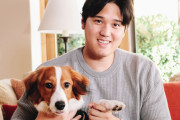 大谷翔平がMVP発表時に共に祝ったワンコに全米が注目！←「ラッキーな犬！」「史上最高の飼い主！」（海外の反応）