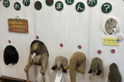 韓国人「世界が驚いた日本の『動物教育』がこちら‥（ﾌﾞﾙﾌﾞﾙ」→「日本の創造力の秘密がここにあった」　韓国の反応
