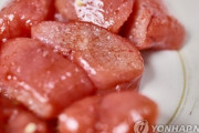 韓国紙「明太子、元祖は日本ではなく、釜山東区 ... 歴史の発信へ乗り出す」
