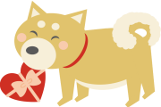 日本の「咳き込んでたらお見舞いを持って来た柴犬」心配そうな顔が可愛い！【タイ人の反応】