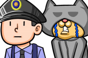 日本で、歩行者に迷惑をかけた猫が逮捕されたぞ！　【海外の反応】
