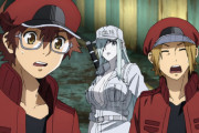 『アニメ海外の反応』はたらく細胞BLACK　第8話