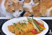 ディズニーの世界にいるような人が作るカツカレーが美味しそう！猫までディズニーに見えてきたｗｗｗ