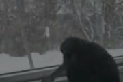 「今日も仕事に入ってきまーす！」と投稿された動画が海外で話題に←こいつ人生を謳歌してんなｗｗｗ　海外の反応