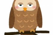 「これがフクロウではないと信じられる!?」自然の中で見かけたその正体は…