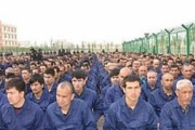 海外「どうやったら中国人の嫁にウイグル人弾圧があると説得出来るんだろうか？」