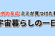 【日常】めざめざ第4話、ミミの夢と炭酸なしコーラに反応【海外の反応】