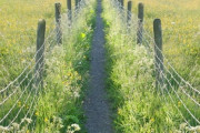 「この牧草地の貼り紙を見て…さすがイギリスだなぁと思った」