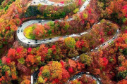 【海外】「景色は最高だ！」「渋滞さえなければ・・」紅葉の日光いろは坂に海外興奮！