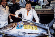 海外「500gで100万円…だと？」日本のマグロ競りで『5億1030万円』の史上最高値！海外でも話題に（海外の反応）
