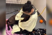 【海外】「病気で動けなかった子犬が奇跡の回復！その後の感動ストーリー」