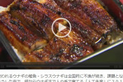 韓国人「日本人がウナギの『完全人口養殖』に成功！」日本人はどうやって成功したの？‥ﾌﾞﾙﾌﾞﾙ　韓国の反応