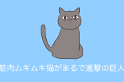 日本の「筋肉ムキムキ猫」がまるで進撃の巨人だと話題にｗｗｗ【台湾人の反応】