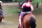 途中まで人間を乗せていたお馬さん、とんでもない場所で乗馬拒否ｗｗｗ海外の反応