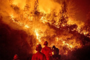 ハチの巣を駆除しようとした男性、150戸以上の家屋を焼くカリフォルニア史上最大の山火事を起こしてしまう・・