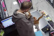 【海外】「店主が助けた野良猫、毎日のハグを贈る！心温まる友情物語」