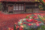 日本のとある茶屋、秋の風情詰まった一枚の美しい写真が海外で話題に