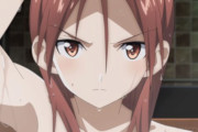［海外の反応まとめ］ストライクウィッチーズベルリンへの道第9話、今回も感動します？