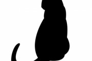 「この猫が何をしているのかさっぱりわからないけど…神々しさを感じる」