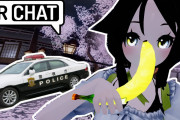 新しい異文化コミュニケーション！！！VRchatで世界中の人と話してみよう！！！【Sssami】