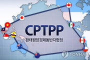 【韓国】首相候補「CPTPPから韓国が抜ければ、日本が一番得 ... 経済領土を増やすべき」韓国の反応