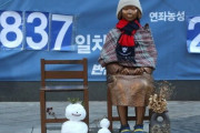 韓国政府「慰安婦賠償、政府次元でいかなる追加請求もしない…日本も被害者の傷を癒やす努力を」＝韓国の反応