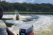 ケニアの湖でボートが野生のカバに猛追される。カバのバタフライのような泳ぎがユニークだけど怖い！