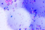 【海外】「水を好むコーティング採用！ゴルフボールの新型がプレーヤー夢の実現？」