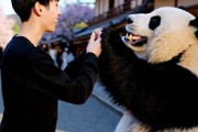 中国人「京都で早起きして朝6時半に来たら・・・」　中国人「本当に美しい」「みんな日本に行ってるの？」