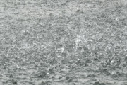 韓国人「1時間当たり100mm以上の豪雨を体感してみよう」