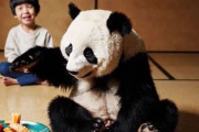 中国人「日本旅行中に絶対に飲食すべきものを教えて」　中国人「中国に帰りたくなくなった」「新世界の扉が開く」
