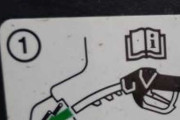 【画像】wifiと亀