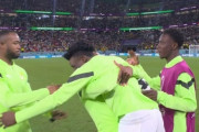 【W杯】韓国人「釈然としない審判の判定のため敗北‥」韓国が3：２でガーナに敗れてしまう　韓国の反応