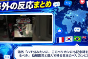 海外「ハチ公みたいに、このペリカンにも記念碑を建てるべき」 幼稚園児と遊んで帰る日本のペリカンに反響
