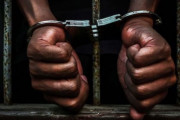 「なぜ刑務所には黒人が多いか」ハーバード大学が4年かけて調べた結果、たった1つの合理的な説明が導き出される