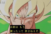 ユルクヤル管理人、LCC倒産のせいで航空券返金されず！この泥棒がふざけんな！一生許さねぇからな！！