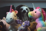 かわいいと怖い、どっちが勝つ？ナマケモノが次々と人を襲う脱力系ホラー映画が爆誕