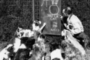 外国人「歴史を感じてしまう素敵な犬の写真を見せていく！」